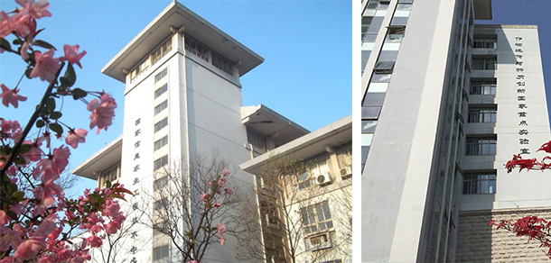 南京农业大学 - 最美大学