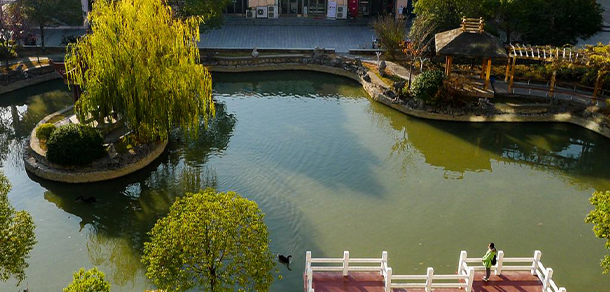 我的大學-大学志