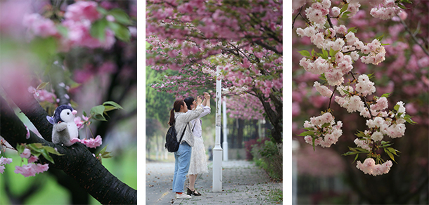 南京中医药大学-我的大學，我的流金歲月