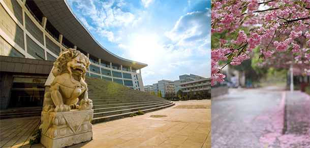 我的大學-大学志