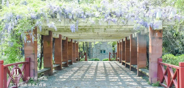 三江学院 - 最美大学