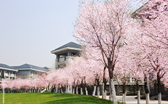 南京晓庄学院 - 我的大学