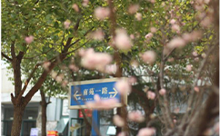 南京航空航天大学金城学院 - 我的大学