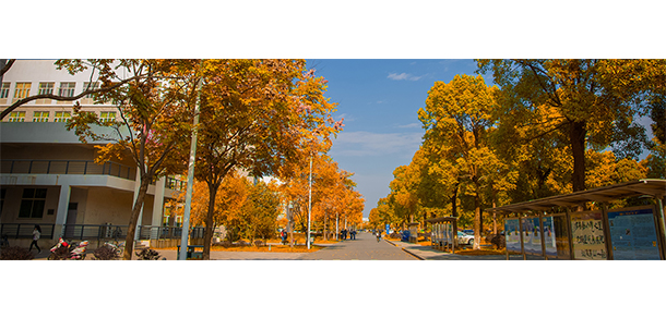 南京师范大学泰州学院 - 最美大学