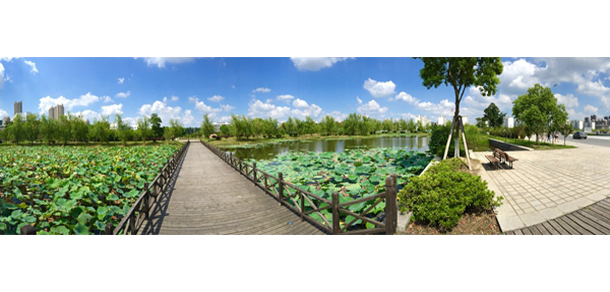 南京师范大学泰州学院 - 最美大学