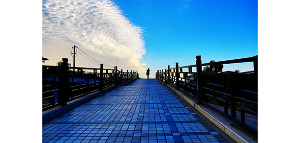 苏州大学应用技术学院 - 最美大学