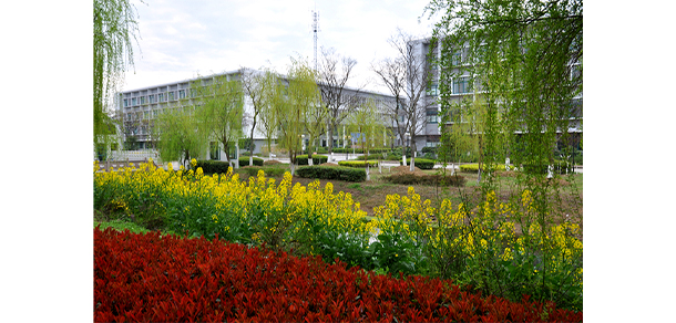 苏州大学应用技术学院 - 最美大学