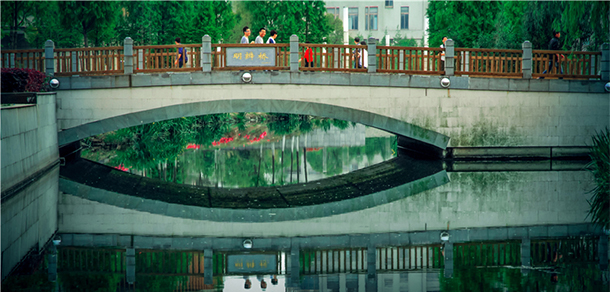 江苏科技大学苏州理工学院 - 最美大学