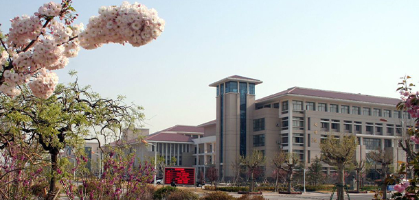 我的大學-大学志