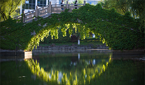 苏州职业技术大学-校园风光