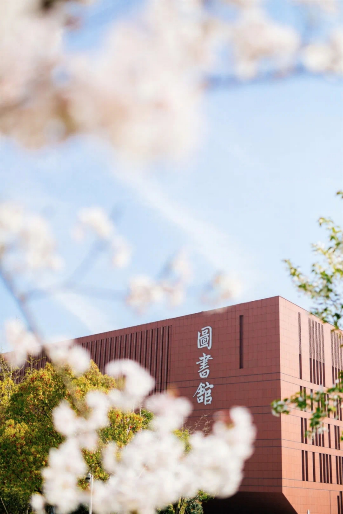 泰州职业技术学院2025年提前招生指南