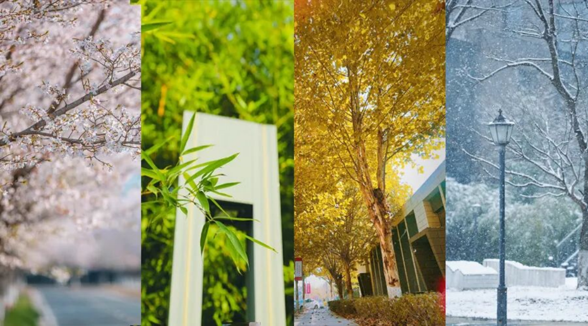 泰州职业技术学院