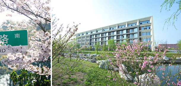 泰州职业技术学院 - 最美大学