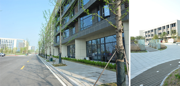 泰州职业技术学院 - 最美大学