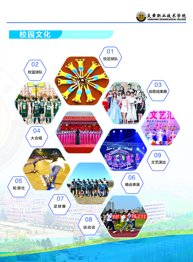 2024年三年制《招生简章》彩页(图文)