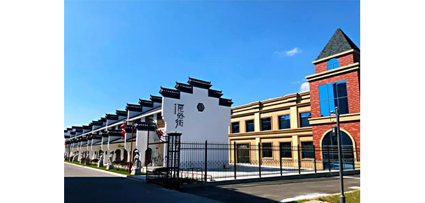 我的大學-大学志