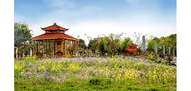 我的大學-大学志