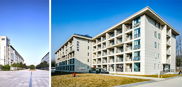 我的大學-大学志