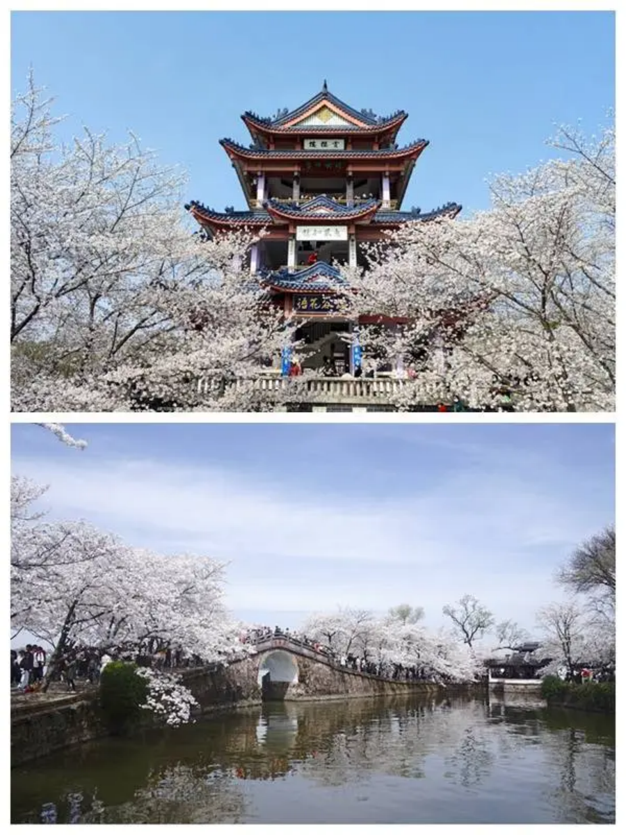 2025高招|无锡城市职业技术学院普高（面向全国）招生简章