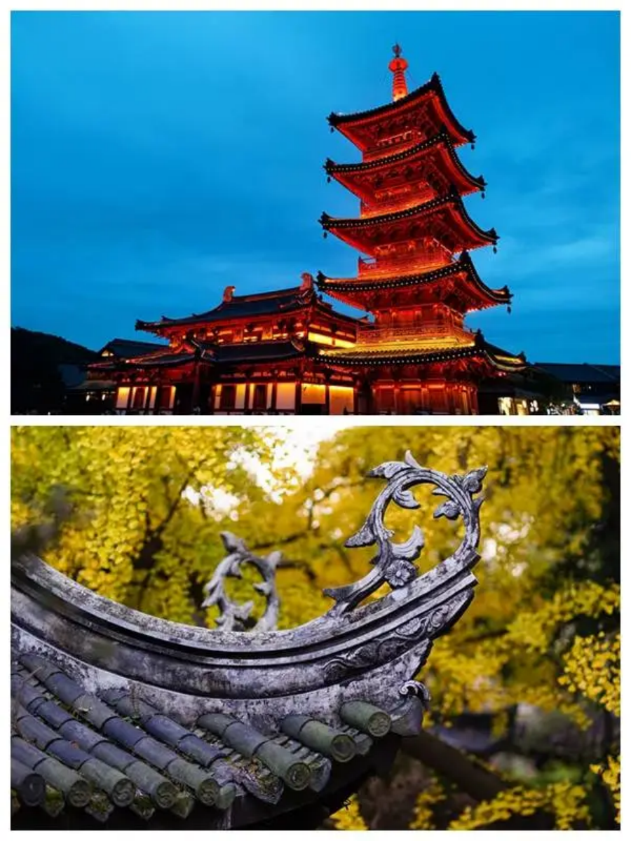 2025高招|无锡城市职业技术学院普高（面向全国）招生简章