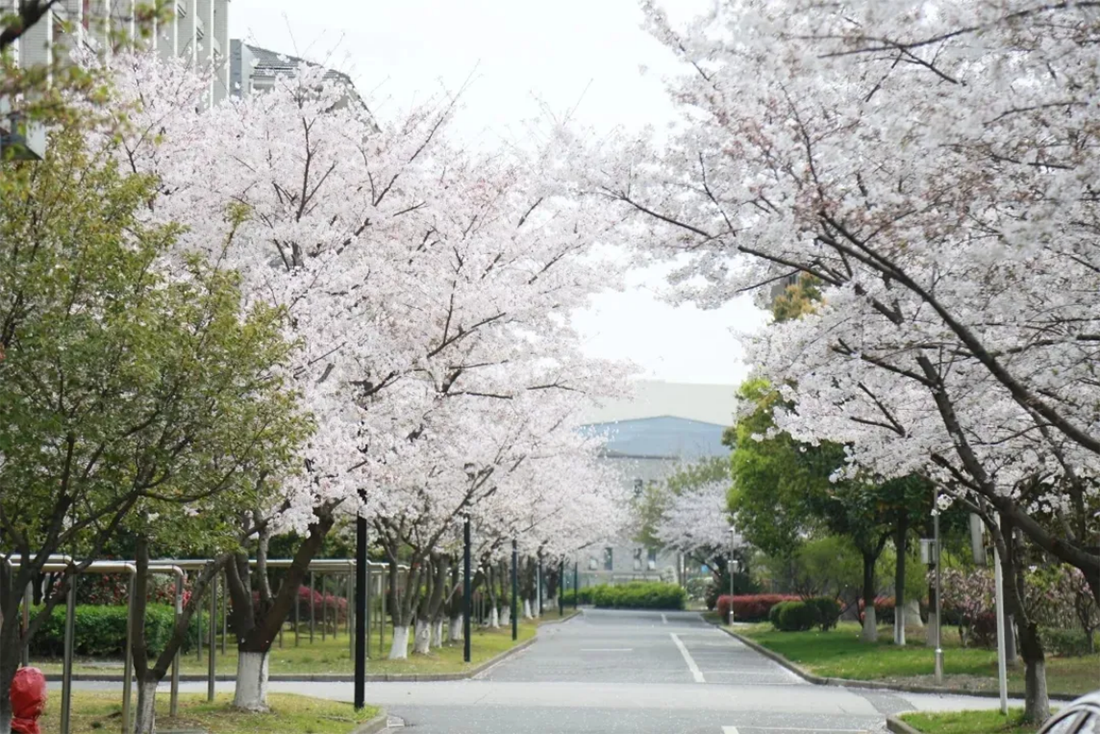 无锡城市职业技术学院2025年中职职教高考招生简章