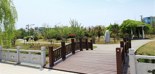 我的大學-大学志