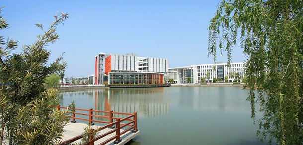 我的大學-大学志