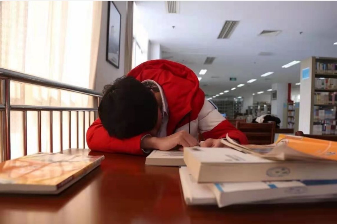 早起的转本同学在图书馆小憩