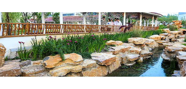 江苏护理职业学院-我的大學，我的流金歲月