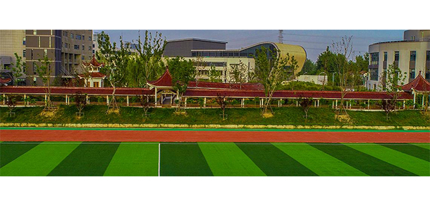 我的大學-大学志