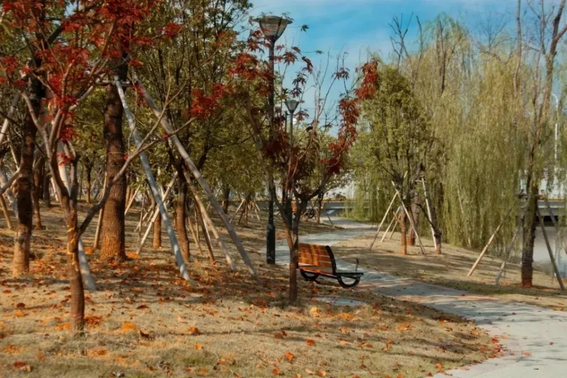 成就更好的自己 浙江师范大学行知学院邀你一起共赴远大前程