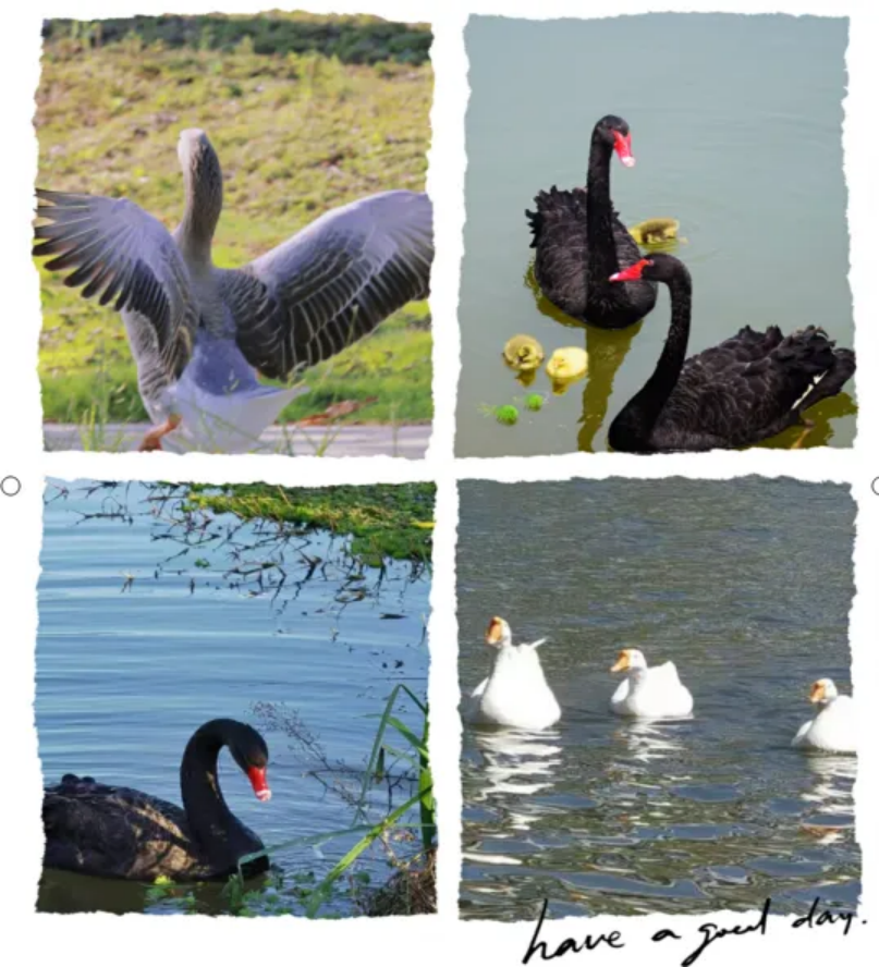 成就更好的自己 浙江师范大学行知学院邀你一起共赴远大前程