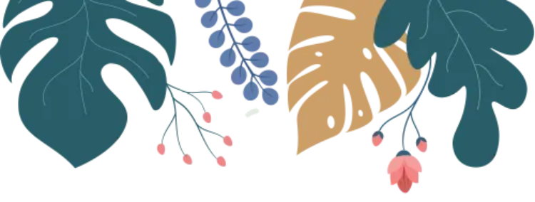 二、2024年省外招生计划