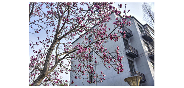 义乌工商职业技术学院 - 最美大学