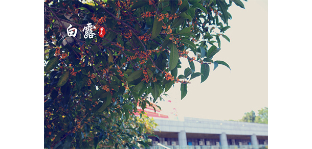 义乌工商职业技术学院 - 最美大学