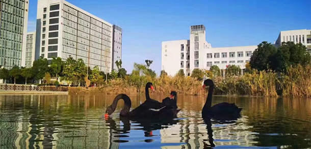 芜湖职业技术大学 - 最美大学