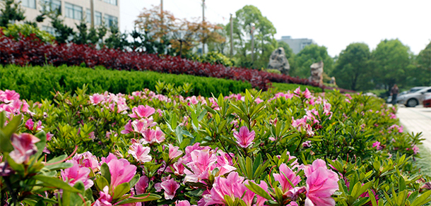 淮南职业技术学院 - 最美大学