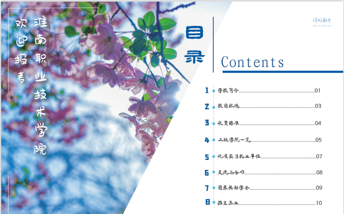 淮南职业技术学院2021年普通高考招生简章