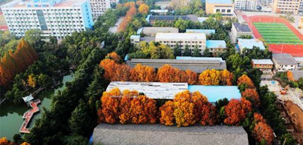 合肥通用职业技术学院 - 最美院校