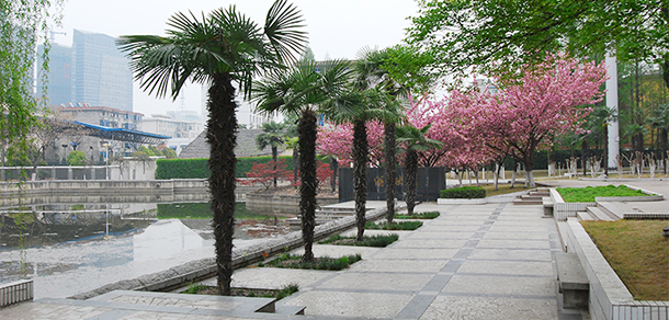 安徽邮电职业技术学院 - 最美院校