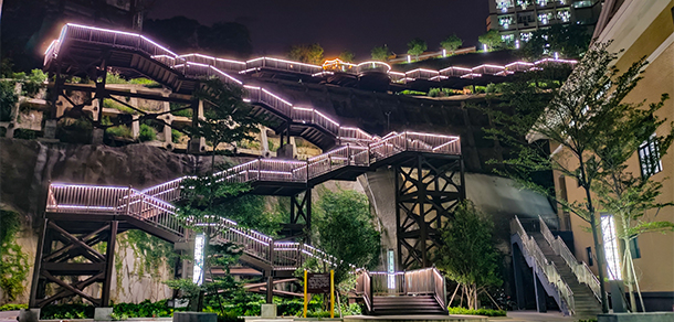 我的大學-大学志