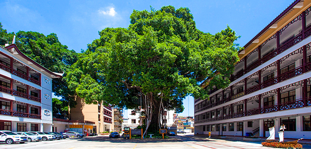 我的大學-大学志