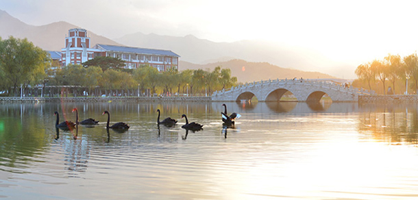 福建中医药大学 - 最美大学