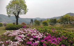 文化标识：校名题写 / 校徽设计