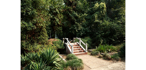 抚州医药学院 - 最美大学