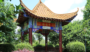 抚州医药学院 - 最美印记