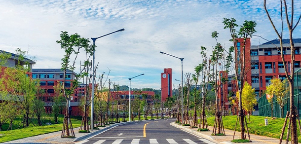 我的大學-大学志