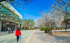 文化标识：校名题写 / 校徽设计