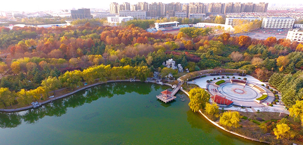 我的大學-大学志