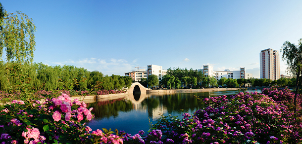 我的大學-大学志